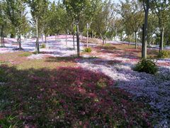 -南通洲际绿博园