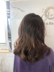 -潘多拉Hairsalon