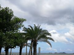 -野狸岛