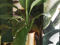 -So Acai(天河店)