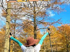 -四明山国家森林公园