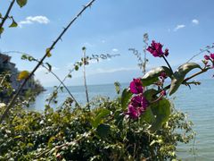-大理洱海