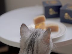 -爸爸糖手工吐司(苏州环球188店)