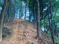 -黄埔油麻山森林公园
