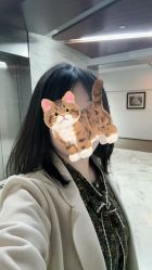 -IN 巷 salon明星店