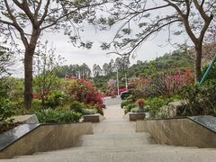 -小南山公园