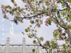 -海棠花溪(元大都城垣遗址公园)