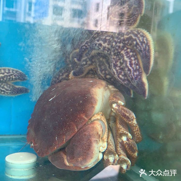 跟闺蜜两人出来玩，选择了黄金海岸的环境，各方面都还不