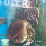 跟闺蜜两人出来玩，选择了黄金海岸的环境，各方面都还不