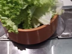-龍歌自助小火锅(市南金茂湾店)
