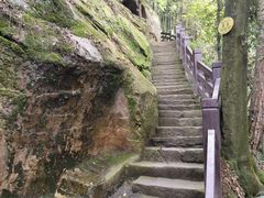 -缙云山景区