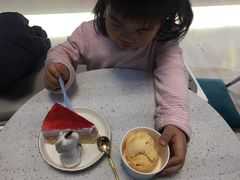 -八喜G’nature冰淇淋旗舰店