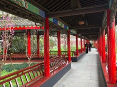 -南汇桃花村