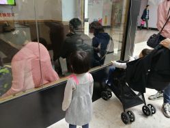 -上海交通大学医学院附属上海儿童医学中心(陆家嘴总院区)