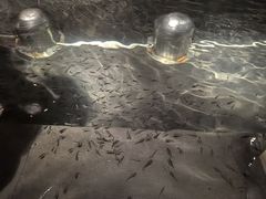 -名都嘉年华汗蒸温泉酒店