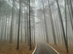 -山王坪喀斯特国家生态公园