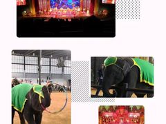 -东芭乐园