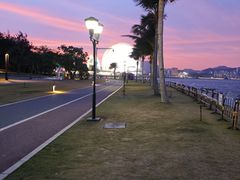-野狸岛