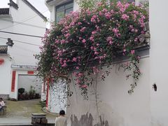 -西溪南古村落