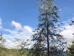 -世界恐龙谷景区