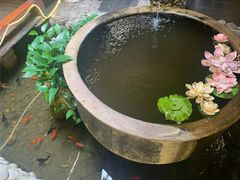 -三道苗苗鱼·美蛙黄辣丁(八里店)