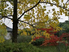 -月湖风景区
