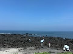 -涉地可支