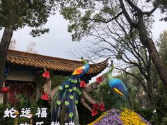 -翠云楼·汽锅鸡·云南特色菜(翠湖公园店)