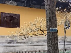 -西园戒幢律寺