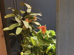 -半秋山西餐厅(巴南万达广场店)