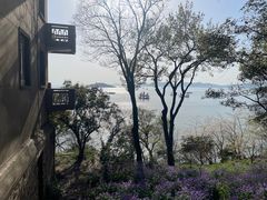 水晶虾仁-太湖饭店·寄畅轩中餐厅
