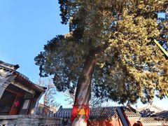 -龙泉寺
