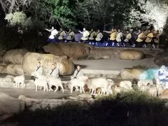 -禅宗少林·音乐大典