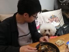 -more than meow吴止猫主题餐厅(承德 中船汇店)