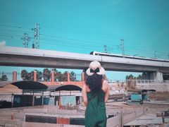 -海堤纪念公园