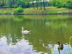 -沈阳森林动物园