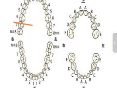 -厦门医学院附属口腔医院(蔡塘院区)