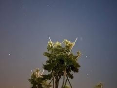 -春花秋色城市公园