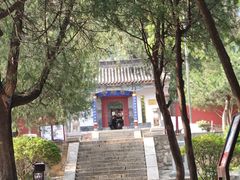 -泰山风景名胜区-普照寺