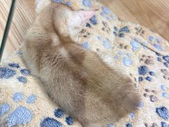 -福建省非物质文化遗产博览苑