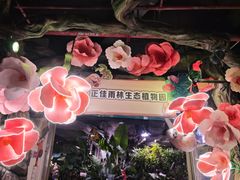 -正佳雨林生态植物园