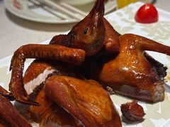 红烧鸽-大鸽饭(岗顶店)