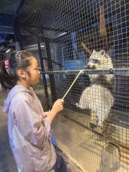 -酷嗒动物文化乐园(cutezoo西溪乐天城店)