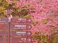 -洋湖国家湿地公园