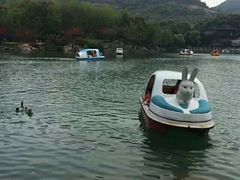 -白马涧龙池景区