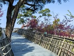 -福道