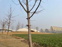 -中国天府农业博览园