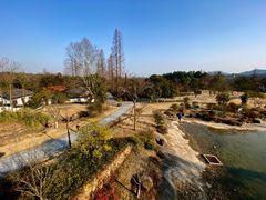 -杭州植物园