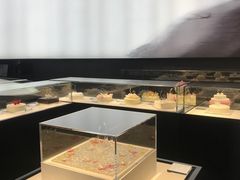-BLACKSWAN黑天鹅(环球店)