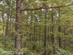 -白草畔自然风景区